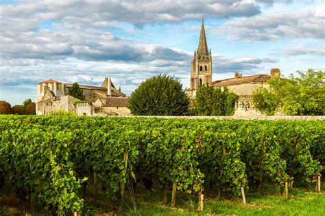 French Vineyards