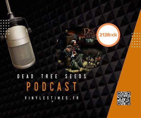 Interview Rock Harrag Melodica Re Oit Le Groupe Dead Tree Seeds