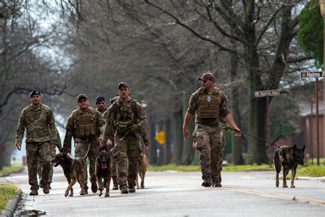 Dvids News National K9 Veterans Day Honoring Our Four Legged Warriors