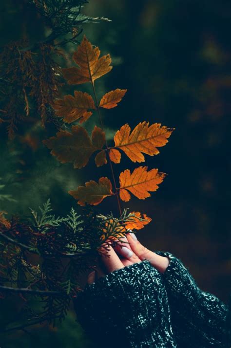 daily photography inspiration