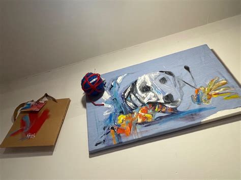 LATINA MAD E AG Collection Fanno La Befana Al Canile Mondoreale