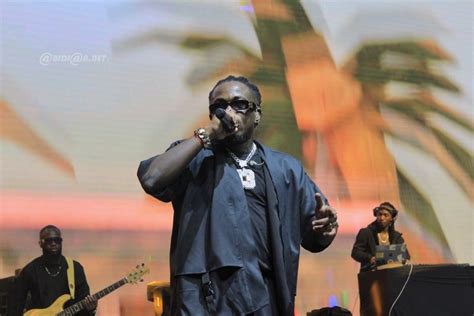 Musique Concert Du Rappeur Didi B Au Parc Des Expositions D Abidjan