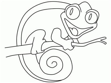 Mixed Up Chameleon Coloring Page Coloring Home