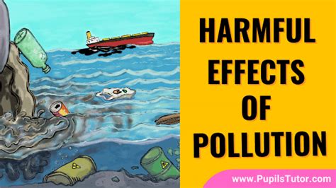 Harmful Effects Of Pollution