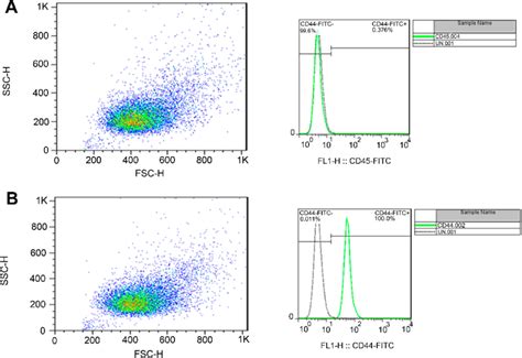 Flow Cytometric Analysis Of Rat Bone Marrow Mesenchymal Stem Cells The