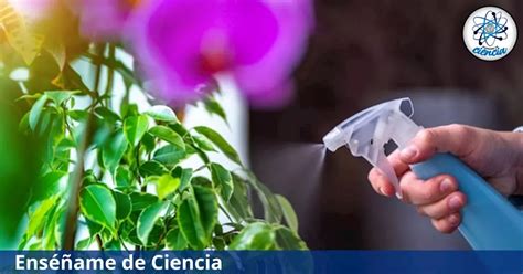 El Cuidado De Las Plantas Y Sus Secretos Jardinería