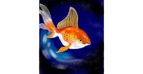 Goldfish Drawing - Gallery and How to Draw Videos!