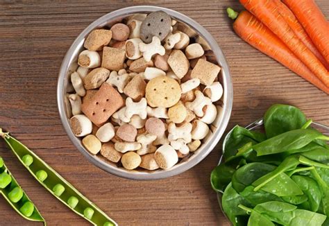 Veganes Hundefutter Selber Machen Haustier Blog