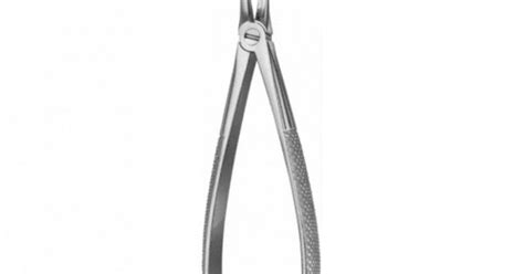 Lower Root Forceps Fig L