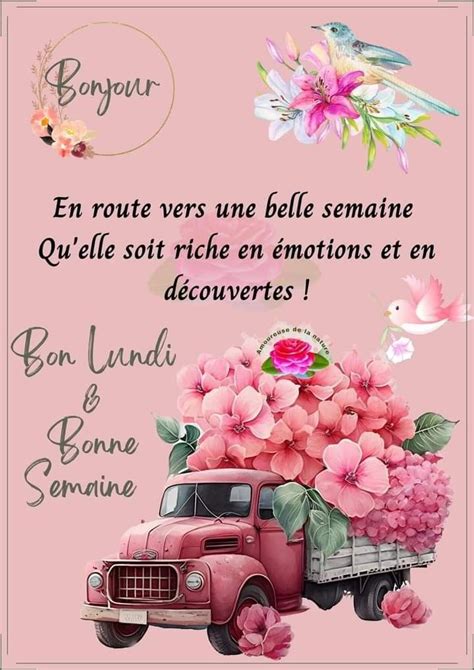 Pin By C Line Brichon On Bonjour Bonsoir In Morning Quotes