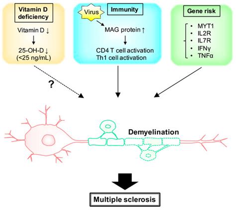 Neurology International Free Full Text New Insights Into Risk Genes