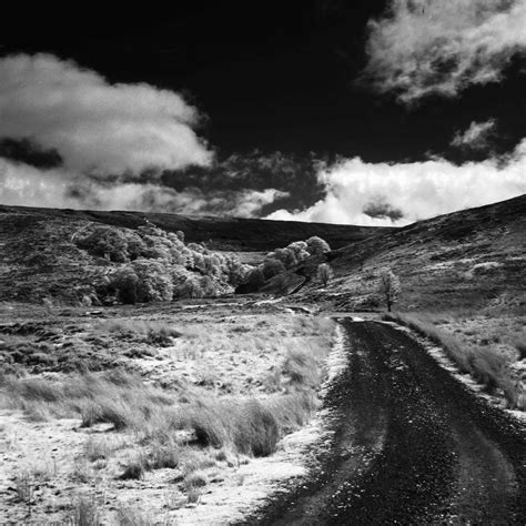 Crimewatch Lancaster Pa - Surveys Hyatt