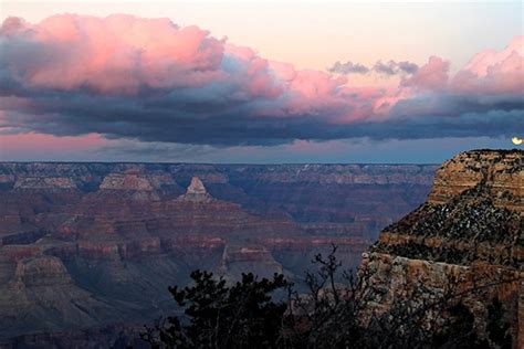 20 Amazing Grand Canyon Facts | Pink Adventure Tours