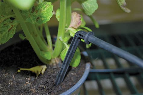 Drip Irrigation Kit | Greenhouse | Garden » Tip Top Yards