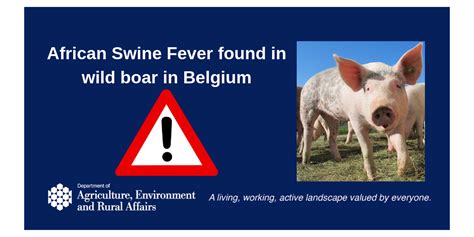 Farmers Urged To Maintain Good Biosecurity As African Swine Fever