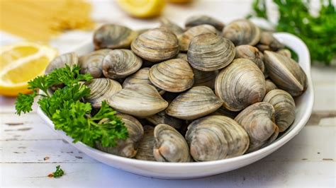 11 Types Of Clam And How To Eat Them