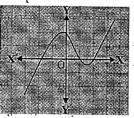 The Graphs Of Y P X Are Given Fig Below For Some Polynomials P