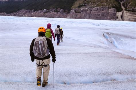 Exploring Patagonia: Hiking the Glacier Grey - Ecophiles