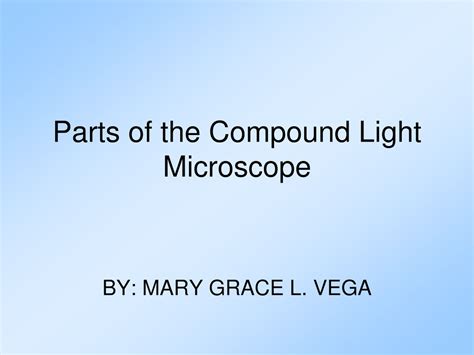 Compound Light Microscope Parts And Functions Ppt Shelly Lighting