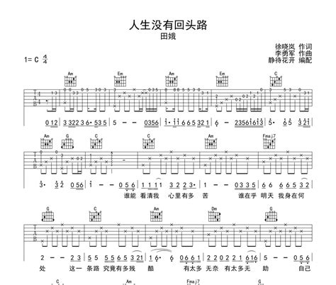 人生没有回头路吉他谱 田娥《人生没有回头路》六线谱吉他谱 乐手网