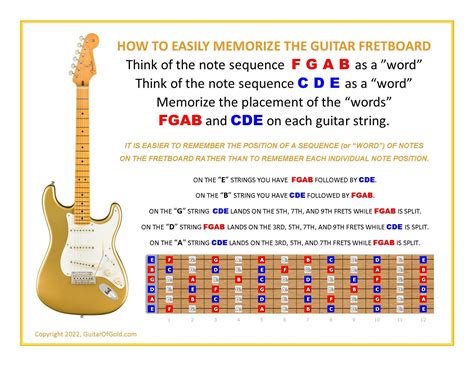 Easily Memorize Guitar Fretboard Etsy