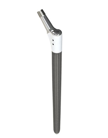 Latitud Monomod Stem For Hip Arthroplasty Meril Life