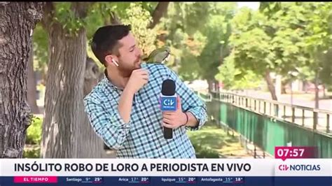 Loro Roba A Periodista En Vivo Y Se Viraliza Madrigal Estereo