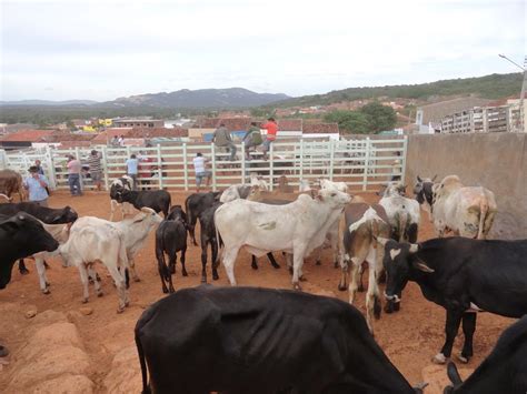 Estação Jataúba A Feira De Gado Suínos Caprinos E Ovinos E Suas