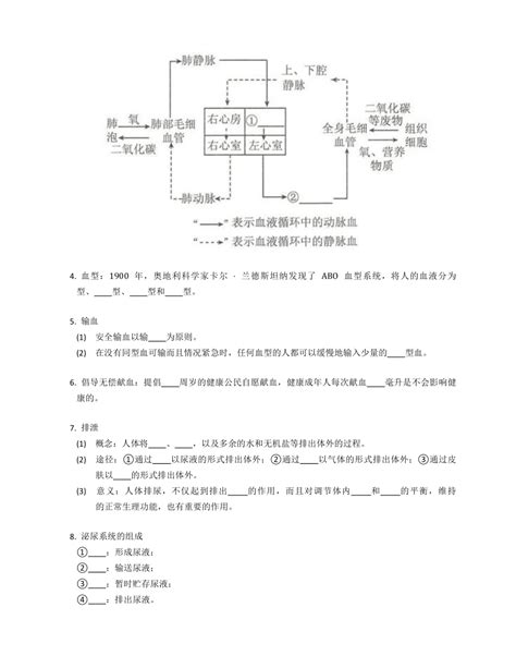 人教版七下生物 第五章 人体内废物的排出 阶段复习三（含答案） 21世纪教育网