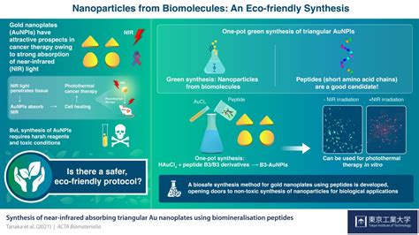 Striking Gold Synthesizing Green Gold Nanoparticles For Cancer Therapy With Biomolecules