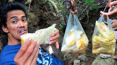 GULAT NA GULAT KAMI TAG ULAN NA PERO ITO NAKUHA NAMING PULOT O HONEY