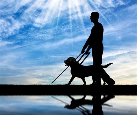 Guide Dog Silhouette Stock Photos Free And Royalty Free Stock Photos