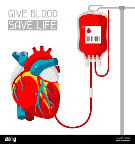 Donate Blood Medical And Healthcare Iillustration Of Human Heart Stock