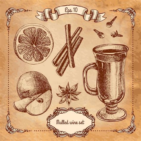 Premium Vector Set Of Mulled Wine Fruit And Spices Hand Drawn