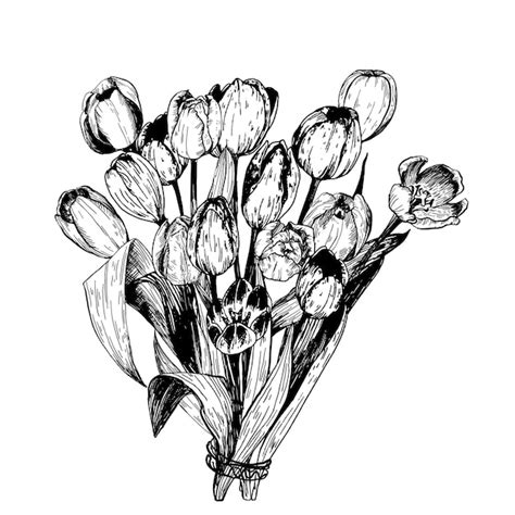 Conjunto De Ramas De Tulipanes De Flores De Primavera Ilustraci N De