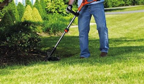 Best Edger Trimmers Of Compared Reviewed Wezaggle