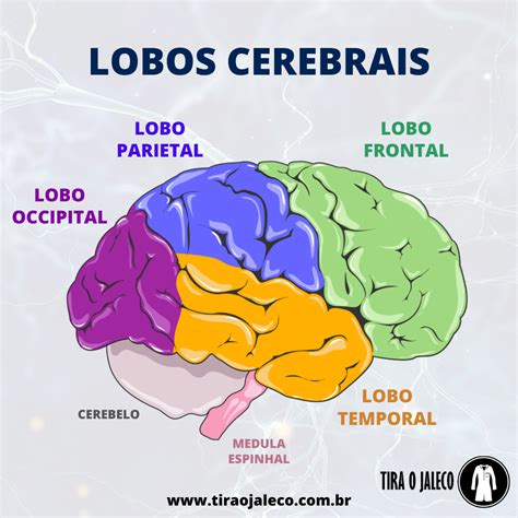 Lobos Cerebrais Tira O Jaleco