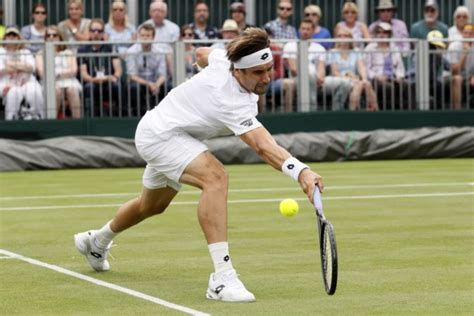 david ferrer sitask