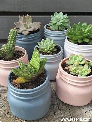 Mother's Day succulents - beautiful gift idea | Weekend DIY