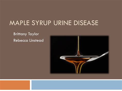 Maple Syrup Urine Disease Pathophysiology At Curtis Johnson Blog