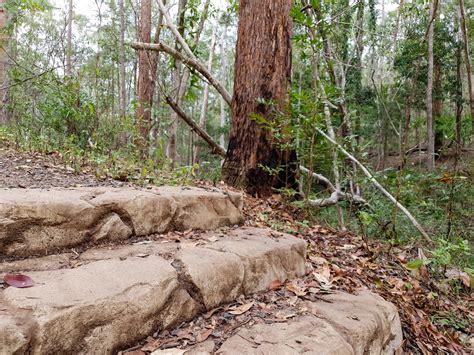 Ironbark Gully Car Park 81 Samford Rd Ferny Hills Qld 4055 Australia