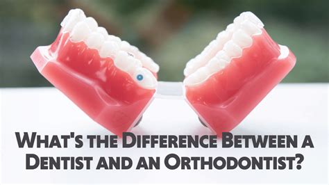 Whats The Difference Between A Dentist And An Orthodontist