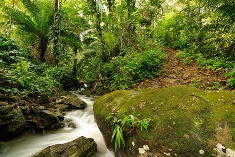 Vacation Pacakges To Panama City Bocas Del Toro Chiriqui