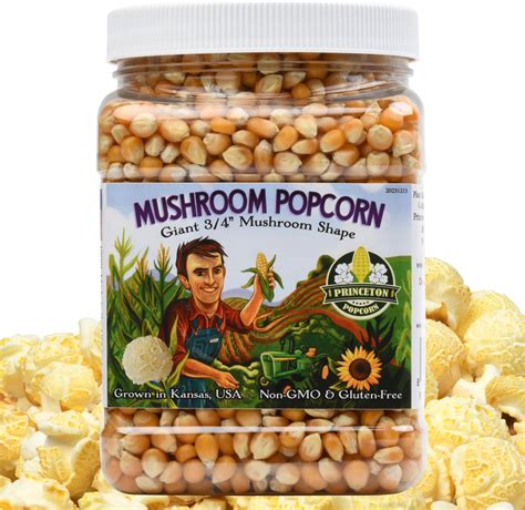 The Secret To Why The Best Mushroom Popcorn Pops So Round - RYZE Superfoods