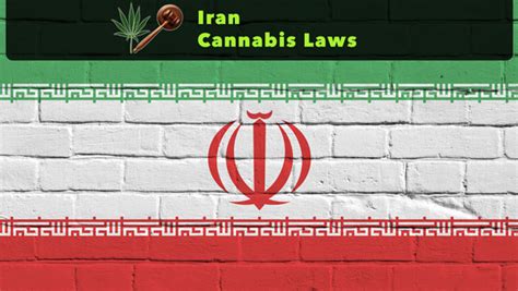 The Landscape Of Cannabis Laws In Iran An In Depth Analysis