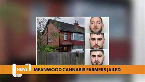 Leeds Headlines 7 March Cannabis Farmers Tending To 1million Leeds