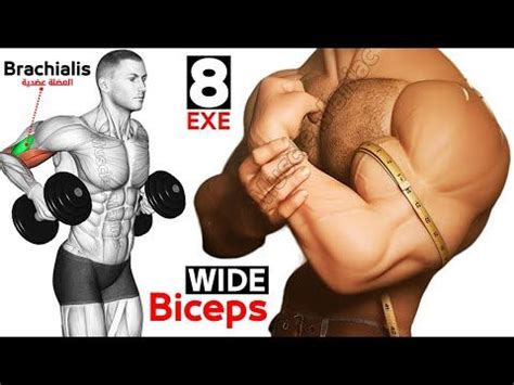 Best Exercises For Wider Biceps Biceps Exercise Bicep Muscle