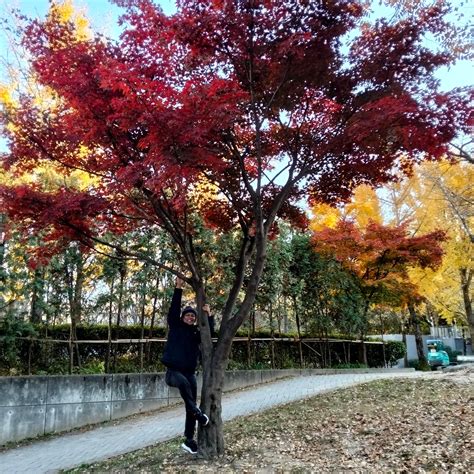 MANILA - The Philippine Coast Guard (PCG) rolled out its “Libreng Sakay