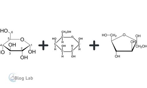 Struktur Glukosa Galaktosa Fruktosa Dan Fungsinya
