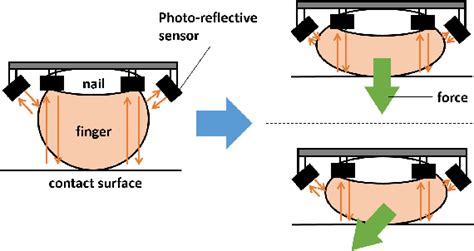 Figure 2 From Estimation Of Fingertip Contact Force By Measuring Skin